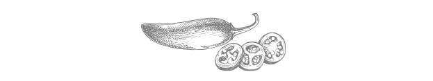Jalapeño pepper drawing
