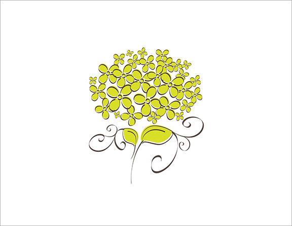 Bouquet of light green flowers