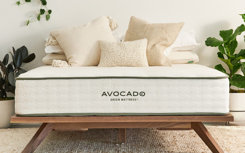 Shop Avocado Green Mattresses and Models